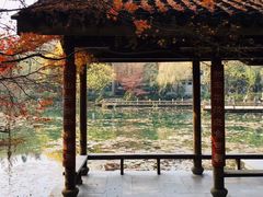 -西湖外事游船(花港观鱼码头)