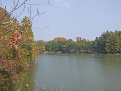 -东湖落雁景区