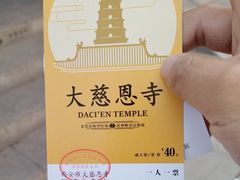 -大慈恩寺(大雁塔)
