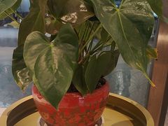 -康师傅私房牛肉面(申虹店)