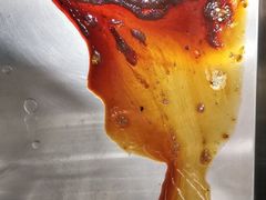 -瑞鹏动物医院宠美康(扬子江路分院)