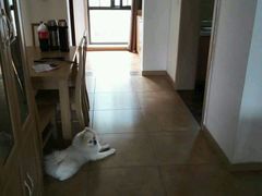 -天鹅湖生态旅游风景区