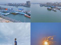 -广东惠东海龟国家级自然保护区