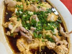 -先鲜鲫鱼粥