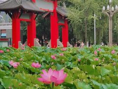 -四川大学(望江校区)