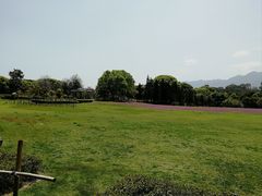 -福建鲤鱼洲酒店