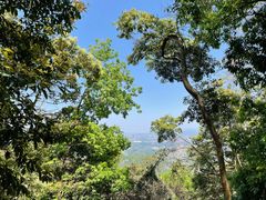 -黄埔油麻山森林公园