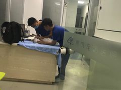 -美美宠物诊疗中心·异宠·骨科(滨江东信分院)