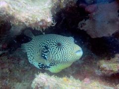 -尼诺伊·阿基诺国际机场T3航站楼