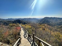 -大岭沟猕猴桃谷风景区