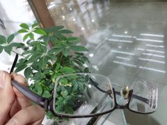 -华彬眼镜专业渐进配镜(潘家园店)