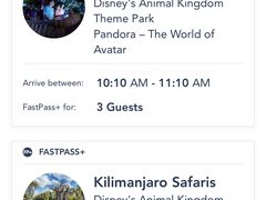 -奥兰多迪士尼动物王国乐园