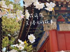 -潭柘寺景区