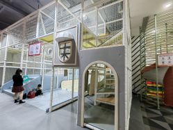 -宝燕乐园(春申店)