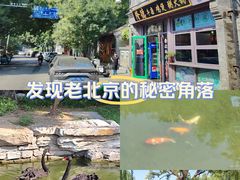 -三里河公园