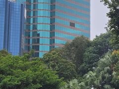 -九龙公园