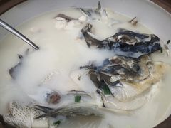 -全乐鱼馆·淳牌有机鱼直营店