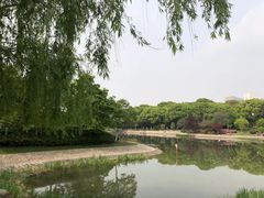 -昆山城市公园