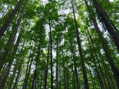 -山王坪喀斯特国家生态公园