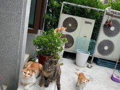 -博纳私人订制健身(中集美兰湖店)