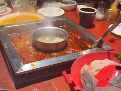 -二荆条·蜀鲜汇城市森林火锅