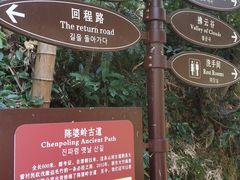 -宁波浙东大竹海景区