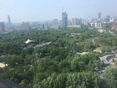 -山东大厦