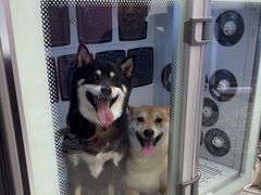 -FAELING PETS美天灵宠物(富力广场店)