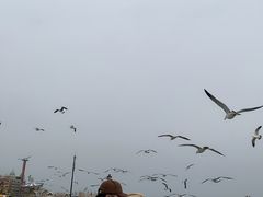 -星海广场
