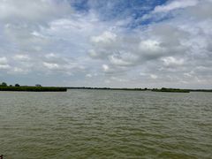 -盐城丹顶鹤湿地生态旅游区