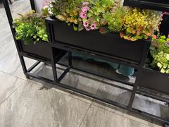 -王厚元饺子·辽菜·烤鸭(工会大厦店)