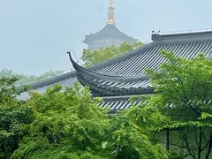 -浙江西子宾馆·牡丹厅