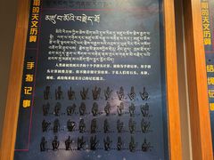 -青海藏文化博物院