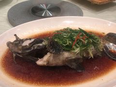 -海都六福酒家(世博广场店)