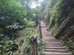 -青城山