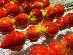 -VT101维多利广场