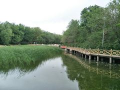 -云岗森林公园