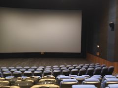 -博纳国际影城IMAX(中央大道店)