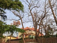 -八大关景区