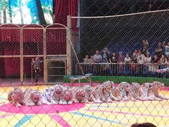 -西安秦岭野生动物园