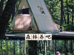 -洛阳白云山景区