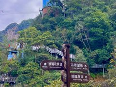 -龙湾潭国家森林公园