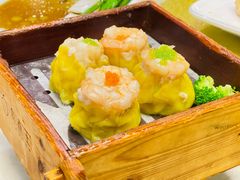 -粤点王茶楼(海丰店)