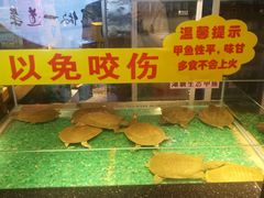 -洪湘记川湘·甲鱼馆(四海凯悦美食广场店)