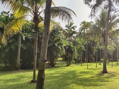-中国科学院西双版纳热带植物园