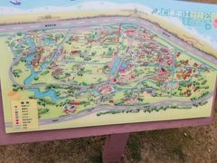 -上海滨江森林公园