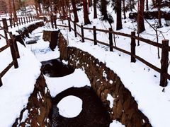 -北海道神宫