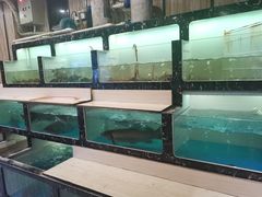 -草鱼先生潮州鱼生·虾生(新厦花园店)