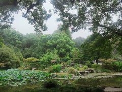 -杭州植物园