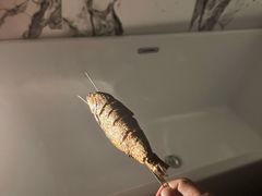 -老万烧烤(典逸心洲店)
